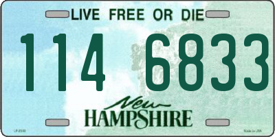 NH license plate 1146833
