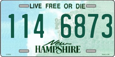 NH license plate 1146873