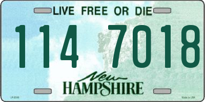 NH license plate 1147018