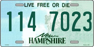NH license plate 1147023