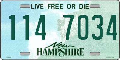 NH license plate 1147034