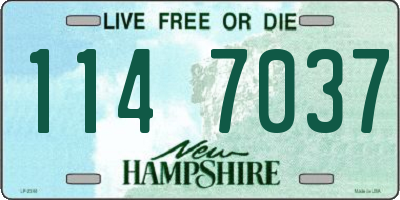NH license plate 1147037