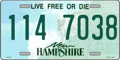 NH license plate 1147038
