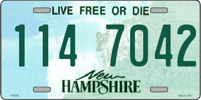 NH license plate 1147042