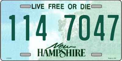 NH license plate 1147047