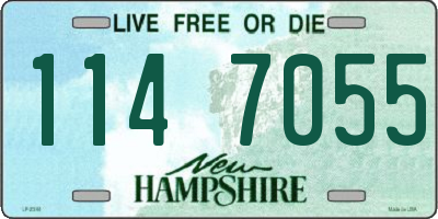 NH license plate 1147055