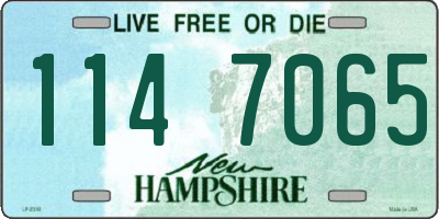 NH license plate 1147065