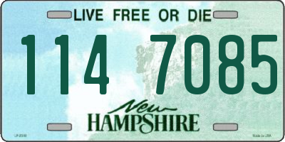 NH license plate 1147085