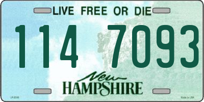 NH license plate 1147093