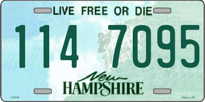 NH license plate 1147095
