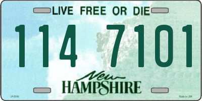 NH license plate 1147101