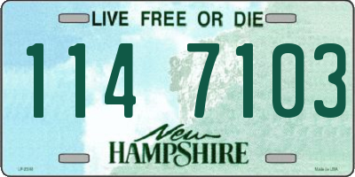 NH license plate 1147103