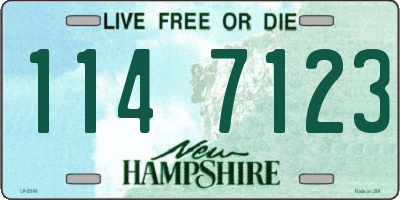 NH license plate 1147123