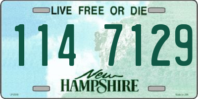 NH license plate 1147129