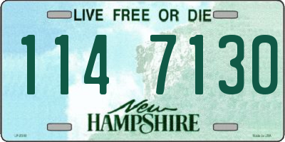 NH license plate 1147130