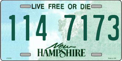 NH license plate 1147173