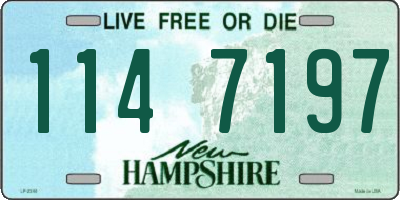 NH license plate 1147197
