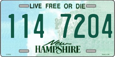 NH license plate 1147204