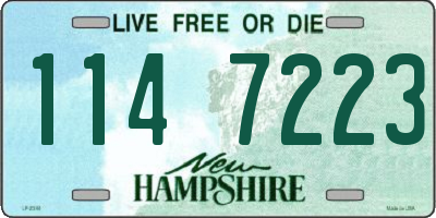 NH license plate 1147223