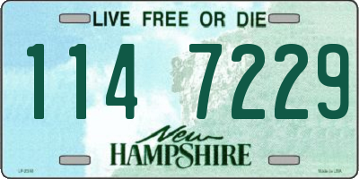 NH license plate 1147229