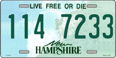 NH license plate 1147233