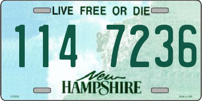 NH license plate 1147236