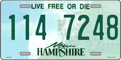 NH license plate 1147248