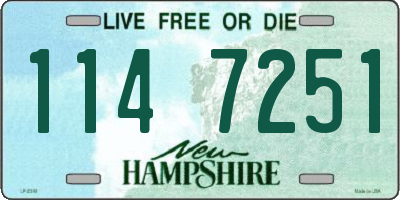 NH license plate 1147251