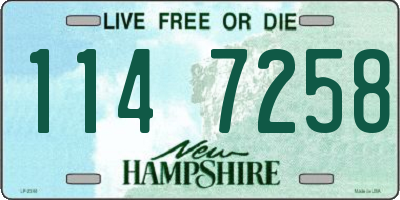 NH license plate 1147258