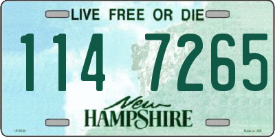 NH license plate 1147265
