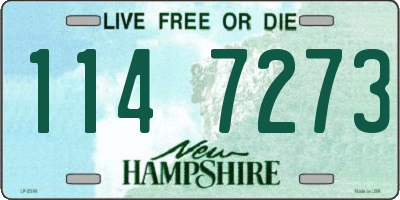 NH license plate 1147273