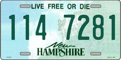NH license plate 1147281