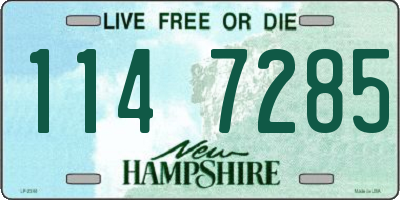 NH license plate 1147285