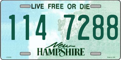 NH license plate 1147288
