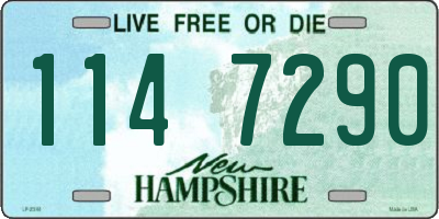 NH license plate 1147290
