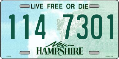 NH license plate 1147301
