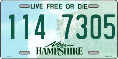 NH license plate 1147305