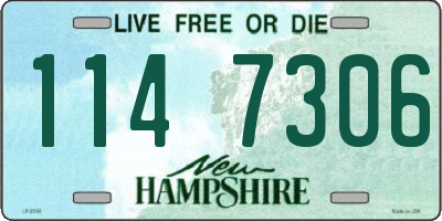NH license plate 1147306
