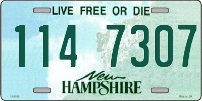 NH license plate 1147307