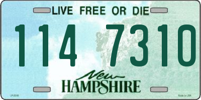 NH license plate 1147310