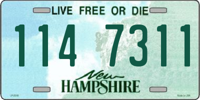 NH license plate 1147311