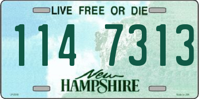 NH license plate 1147313