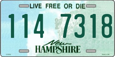 NH license plate 1147318