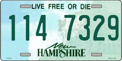 NH license plate 1147329
