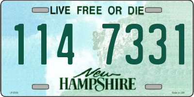 NH license plate 1147331