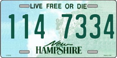 NH license plate 1147334