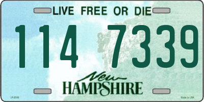 NH license plate 1147339