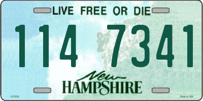 NH license plate 1147341