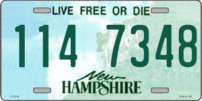 NH license plate 1147348