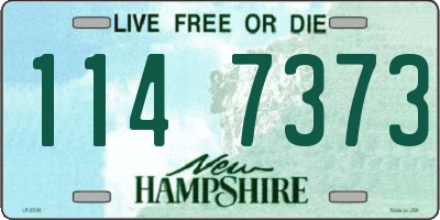 NH license plate 1147373